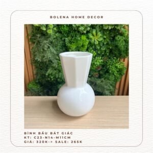 Bình bầu đa giác trắng - Cái
